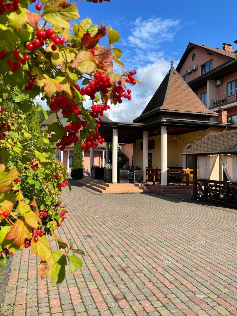 Срібний Водограй Hotel Polyana  Bagian luar foto